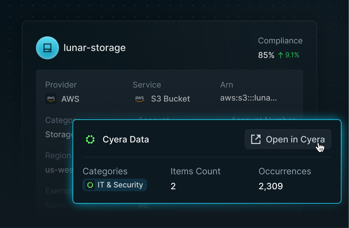 Asset detail with Cyera data classification panel